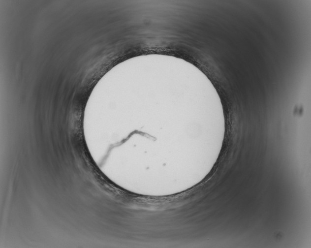 X0000115480033200912181219