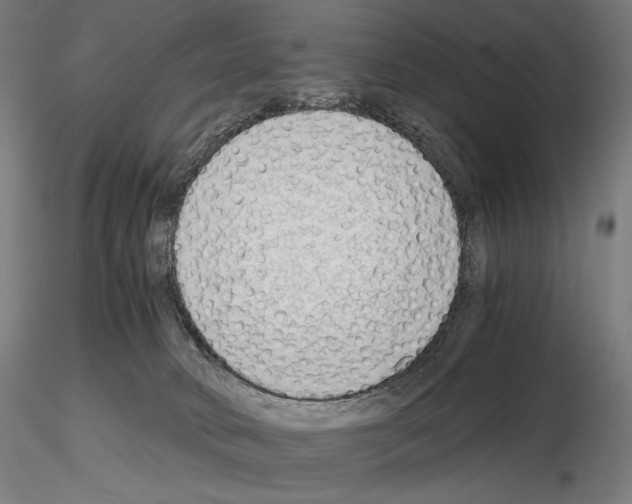 X0000115480034200912181219