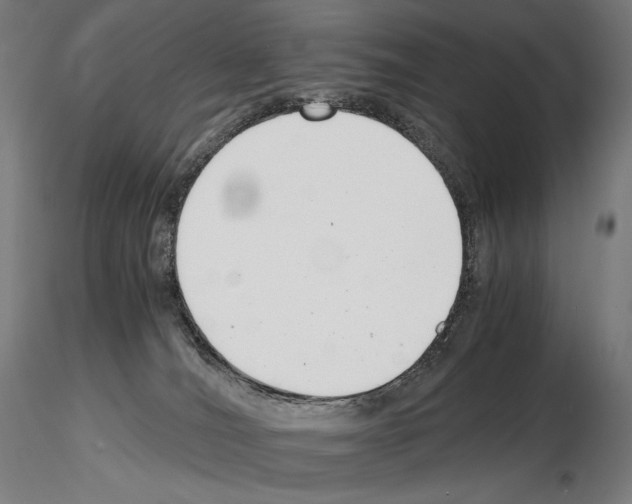 X0000115480036200912181219