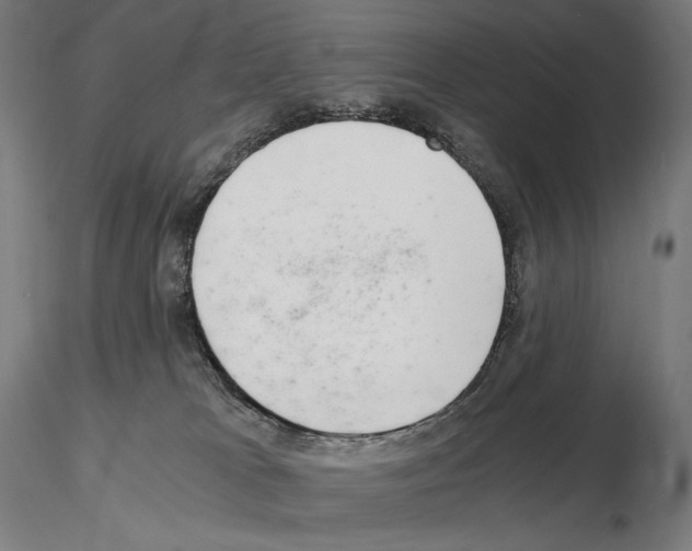 X0000115480037200912181219