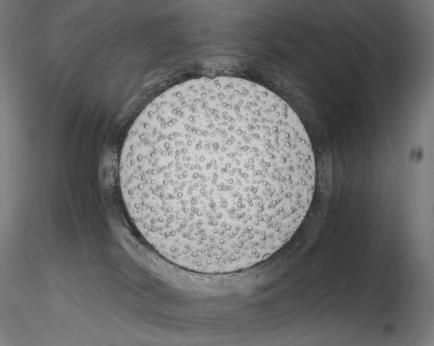 X0000115480038200912181219