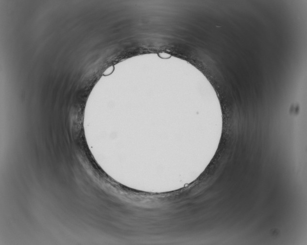 X0000115480040200912181219