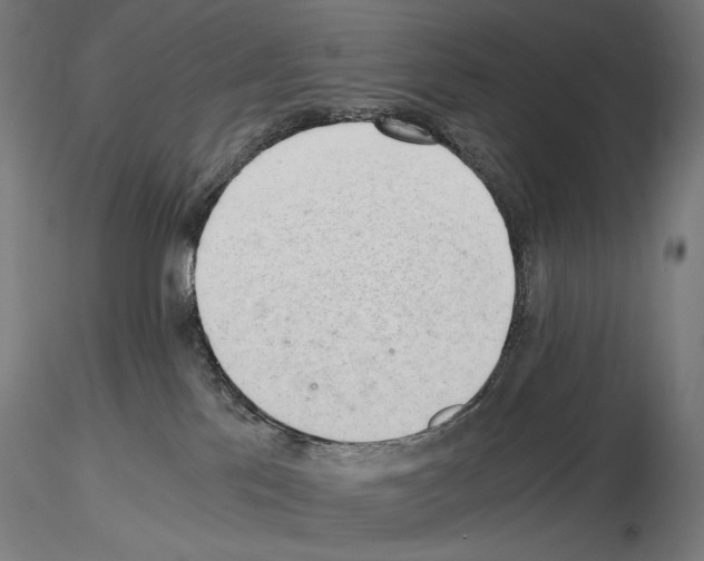 X0000115480041200912181219