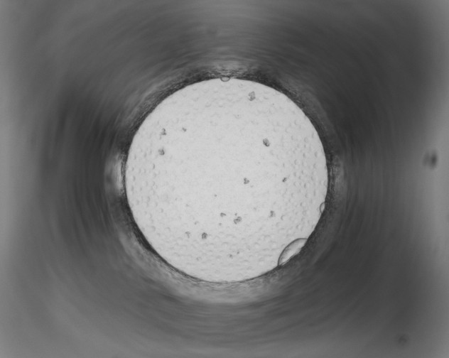 X0000115480042200912181219