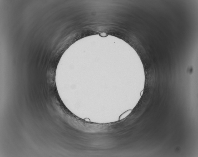 X0000115480044200912181219
