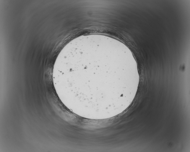 X0000115480045200912181219