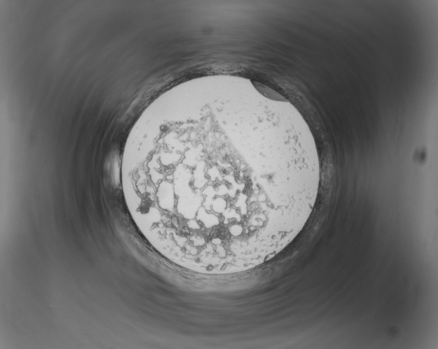 X0000115480046200912181219