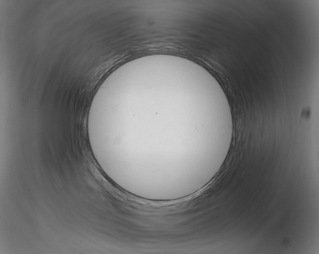 X0000115480047200912181219