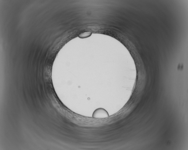 X0000115480048200912181219