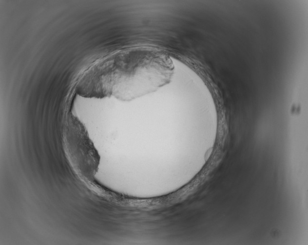 X0000115480049200912181218