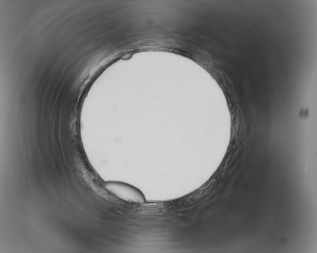 X0000115480050200912181218