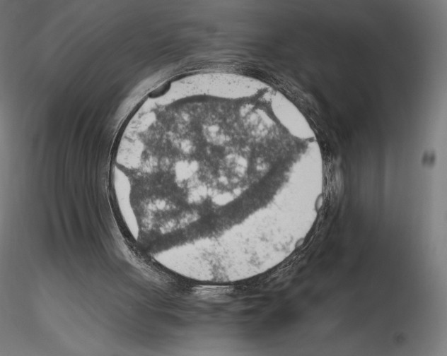 X0000115480051200912181218