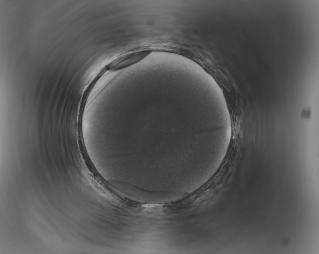 X0000115480052200912181218