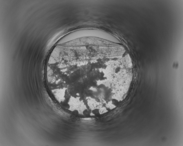 X0000115480053200912181218