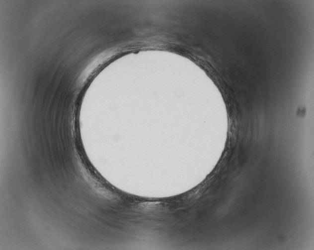 X0000115480054200912181218