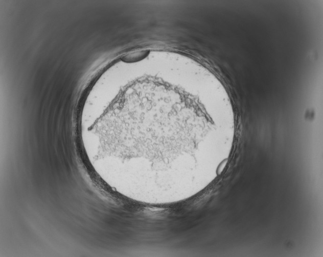 X0000115480055200912181218