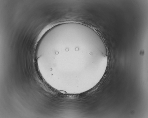 X0000115480056200912181218