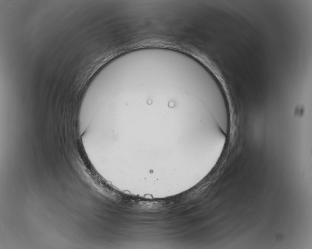 X0000115480057200912181218