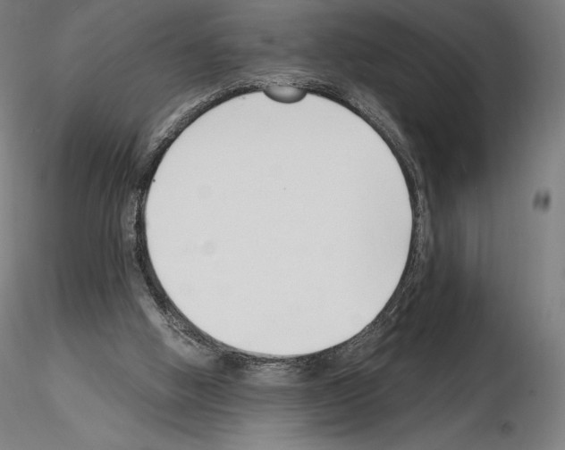 X0000115480058200912181218
