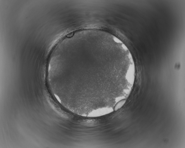 X0000115480059200912181218