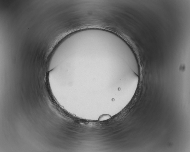 X0000115480060200912181218