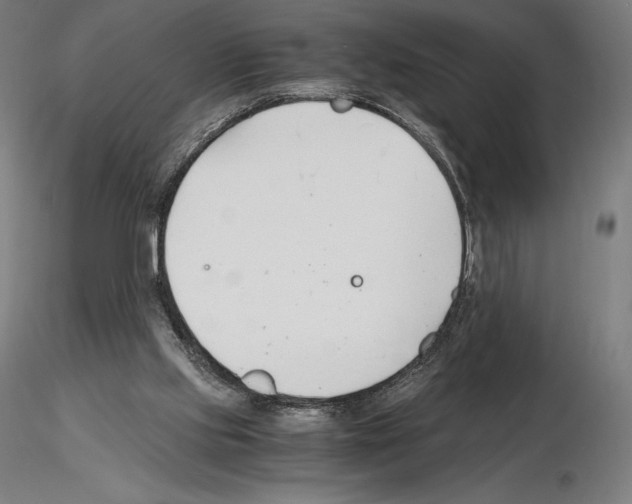 X0000115480061200912181218