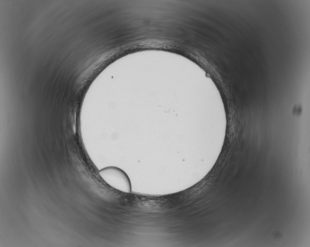 X0000115480062200912181218