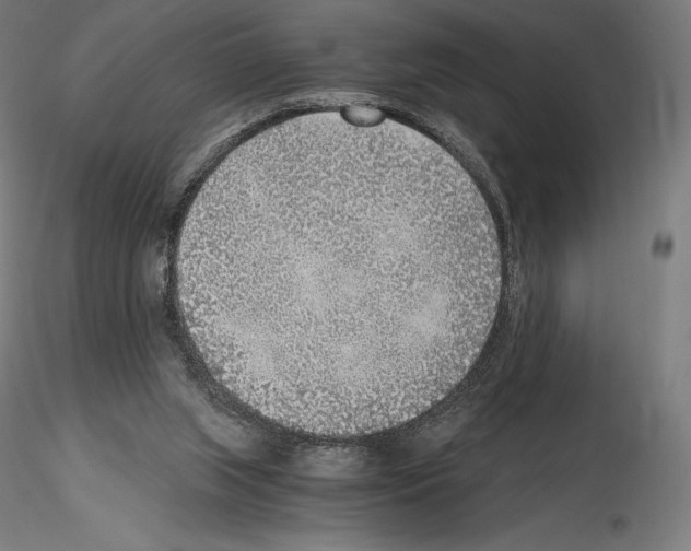 X0000115480063200912181218
