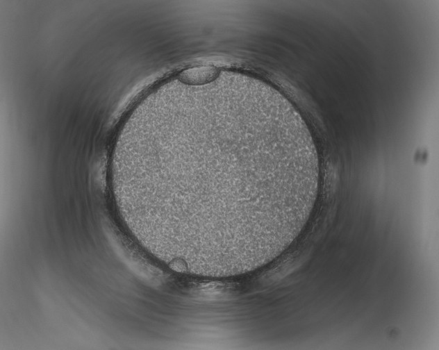 X0000115480064200912181218