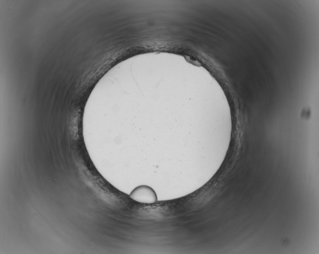 X0000115480065200912181218