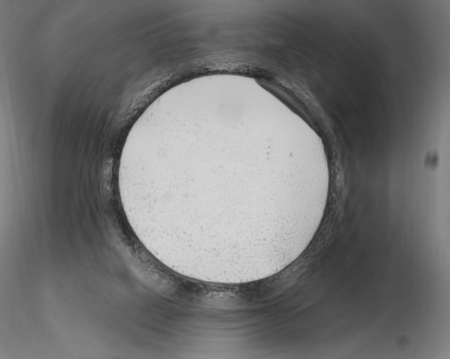 X0000115480066200912181218
