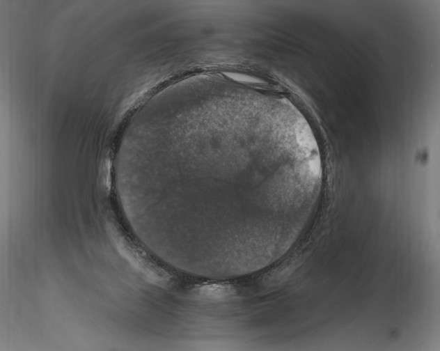 X0000115480067200912181218
