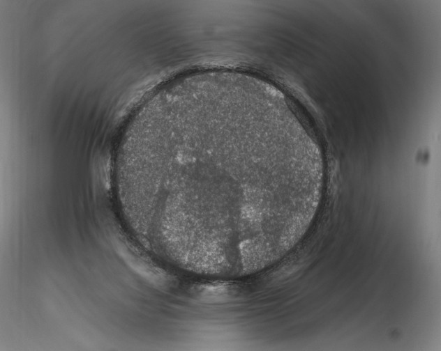 X0000115480068200912181218