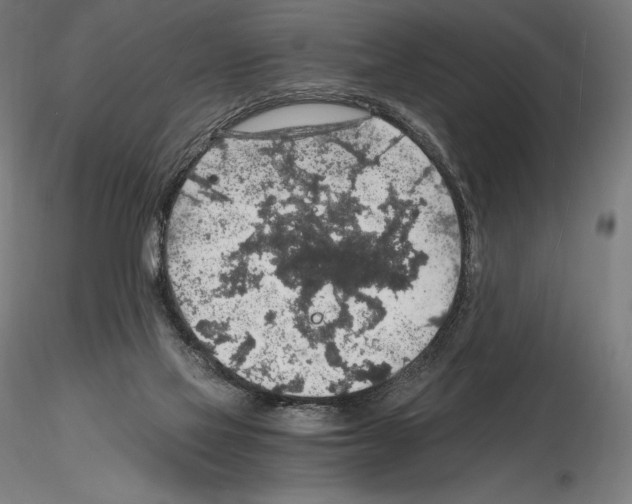 X0000115480069200912181218