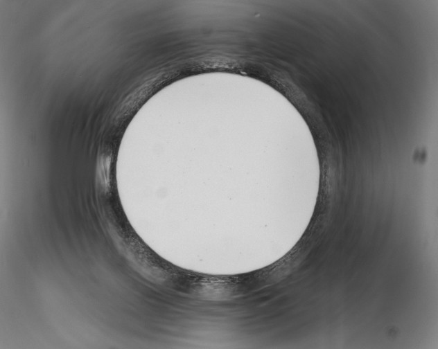 X0000115480070200912181218