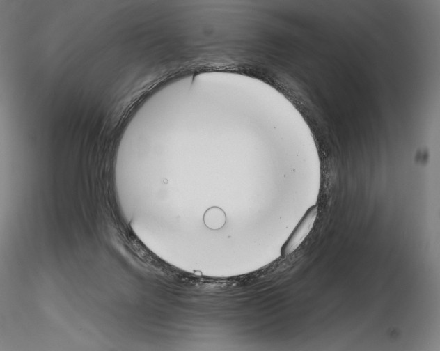 X0000115480072200912181218