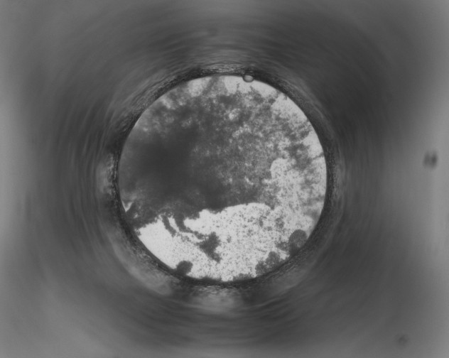 X0000115480073200912181218