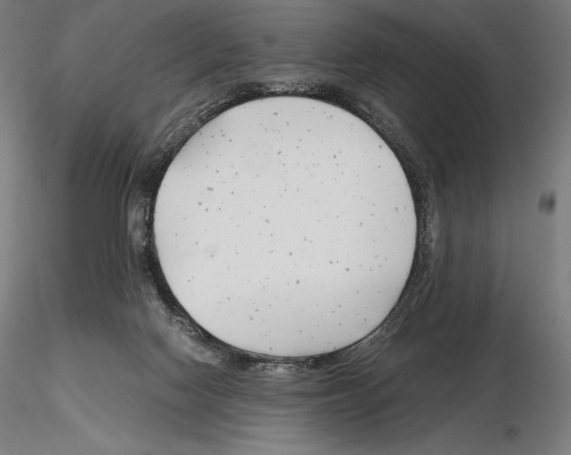 X0000115480074200912181218