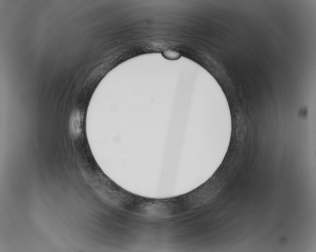 X0000115480075200912181218