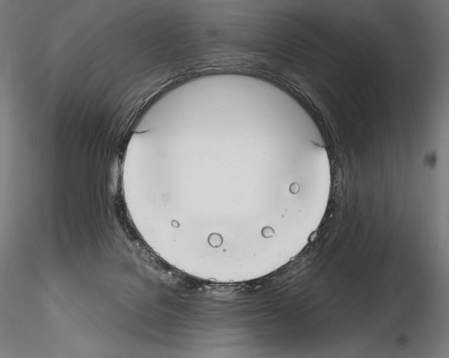 X0000115480076200912181218