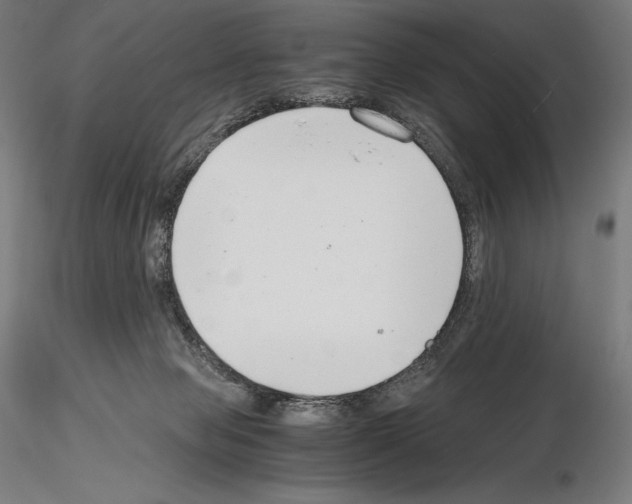 X0000115480077200912181218