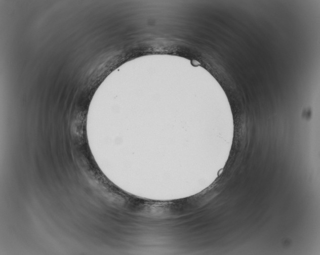 X0000115480078200912181218