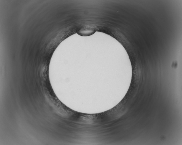 X0000115480079200912181218