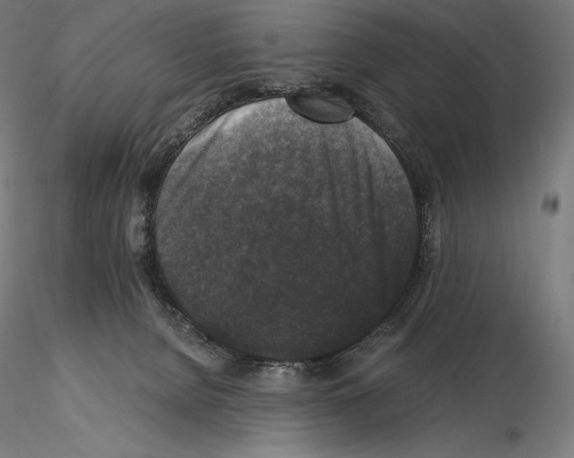 X0000115480080200912181218