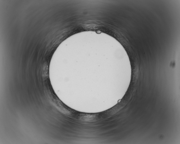 X0000115480081200912181218