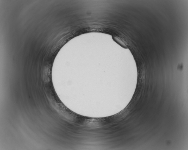 X0000115480082200912181218
