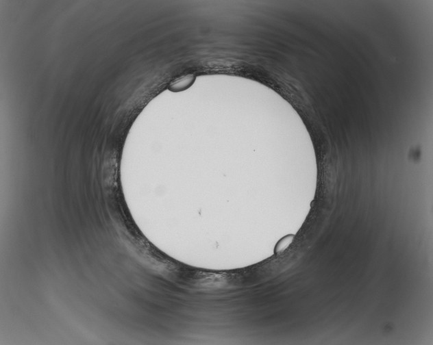 X0000115480083200912181218