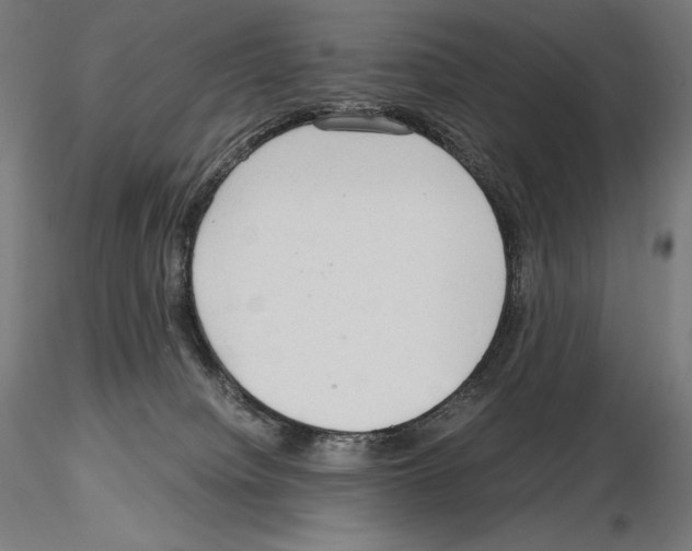 X0000115480084200912181218