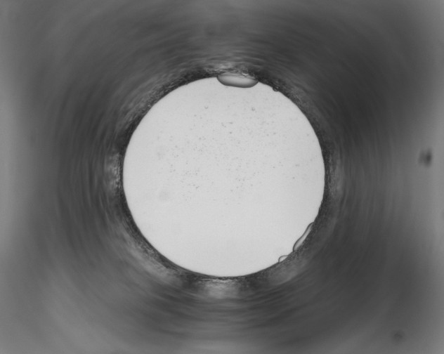 X0000115480085200912181218