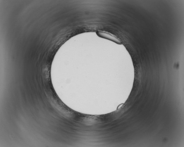 X0000115480086200912181218